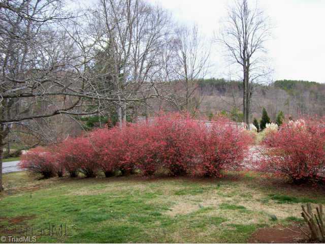 Other. view from front yard