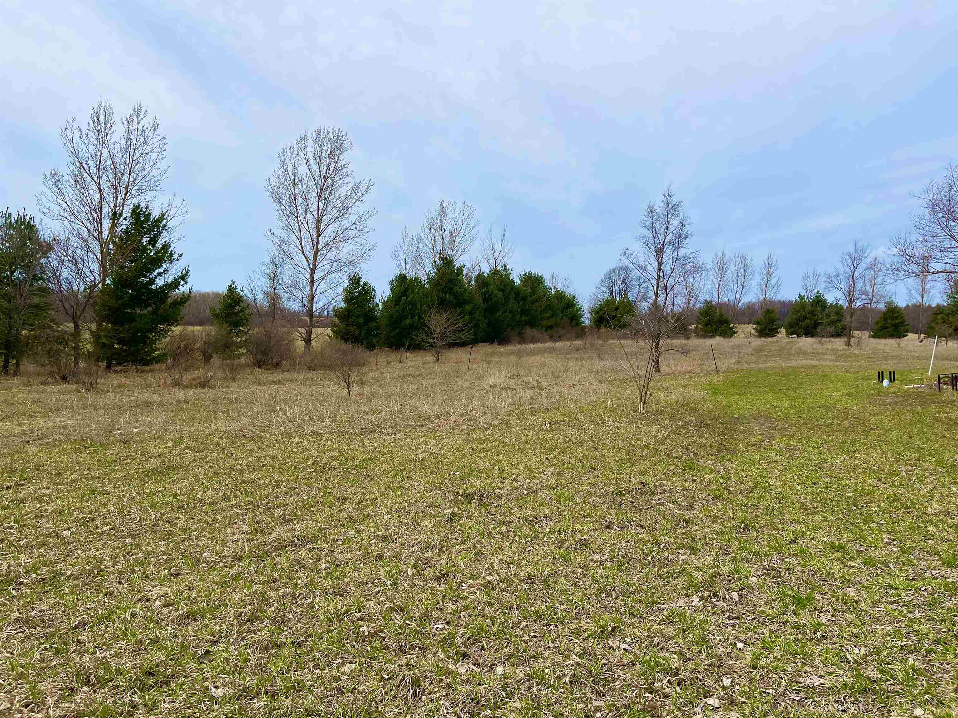 4202 Hamlin Road Grawn, MI 49637 - Photo 2 of 9 1899002-1.JPG