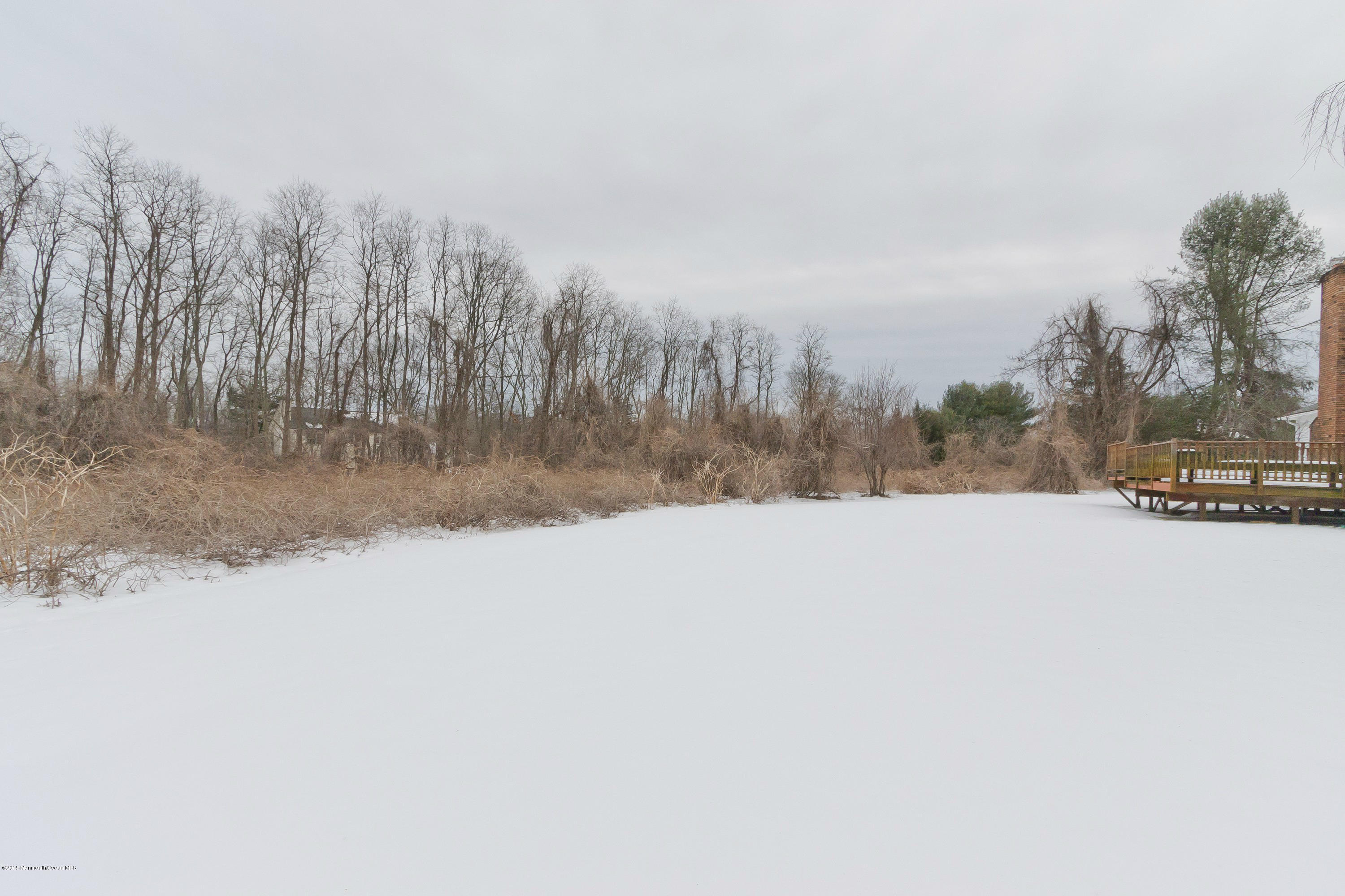460 Marl Road Colts Neck, NJ 07722 - Photo 33 of 37 back yard