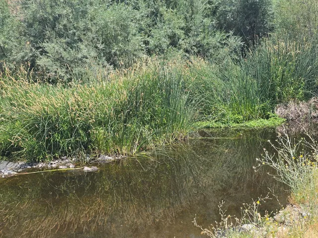 $529,000 | 4204 Highway 263, Yreka, CA 96097