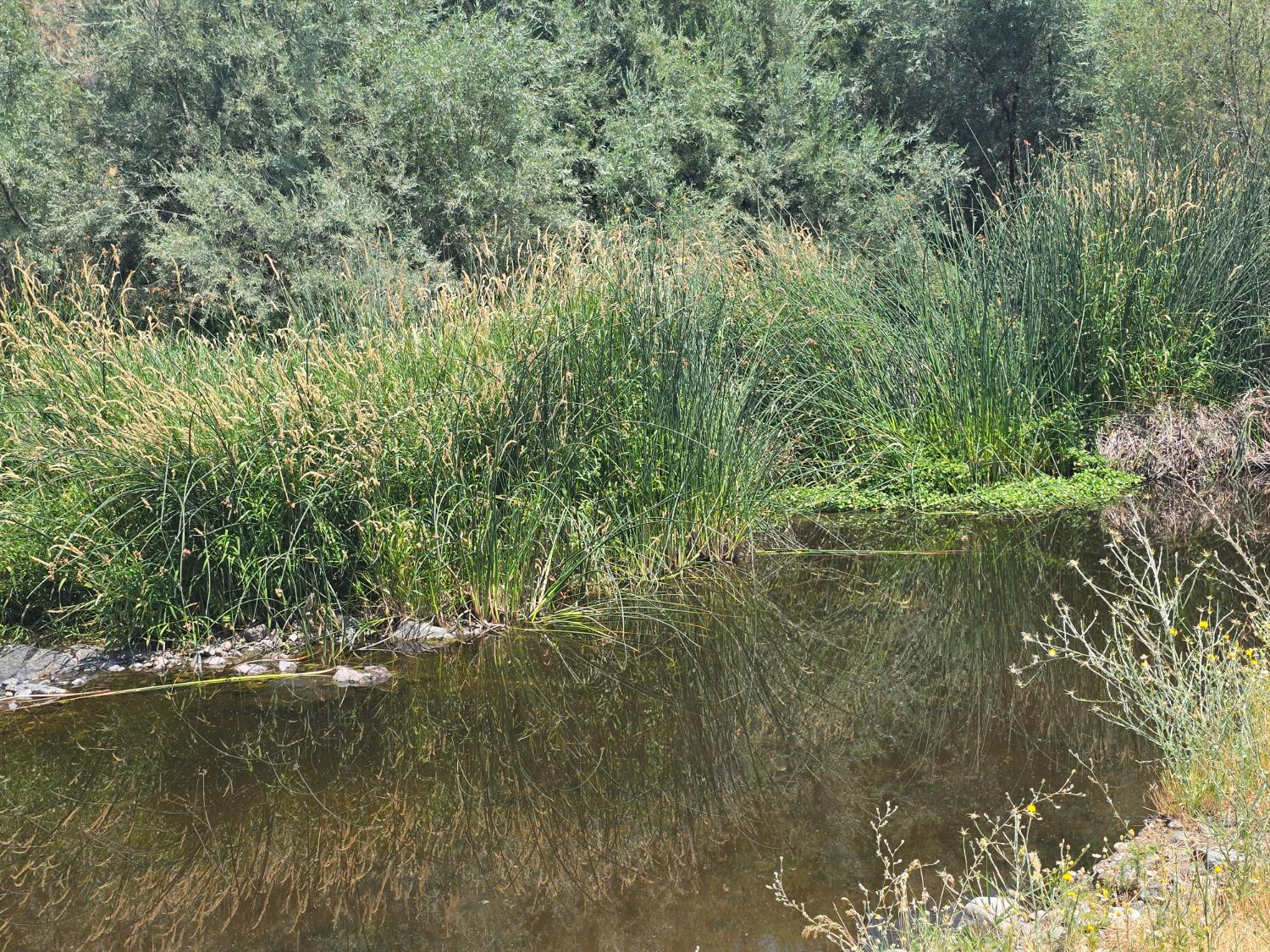 4204 Highway 263 Yreka, CA 96097 - Photo 56 of 66