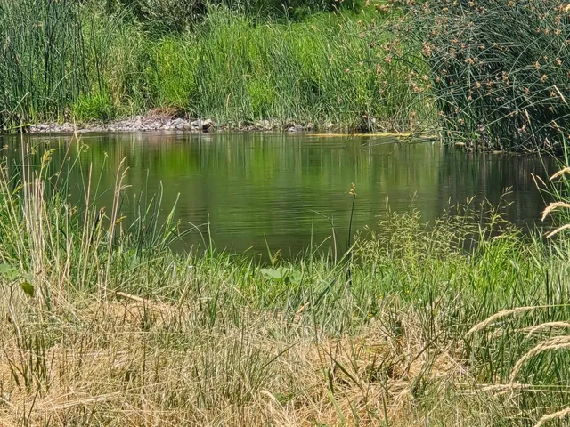 $529,000 | 4204 Highway 263, Yreka, CA 96097