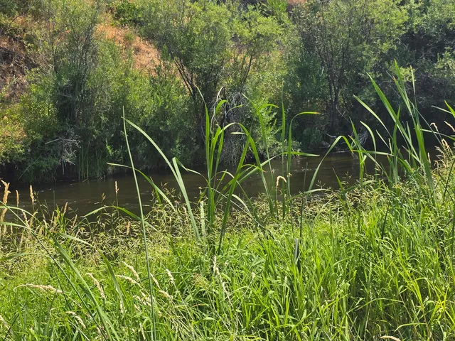 $529,000 | 4204 Highway 263, Yreka, CA 96097