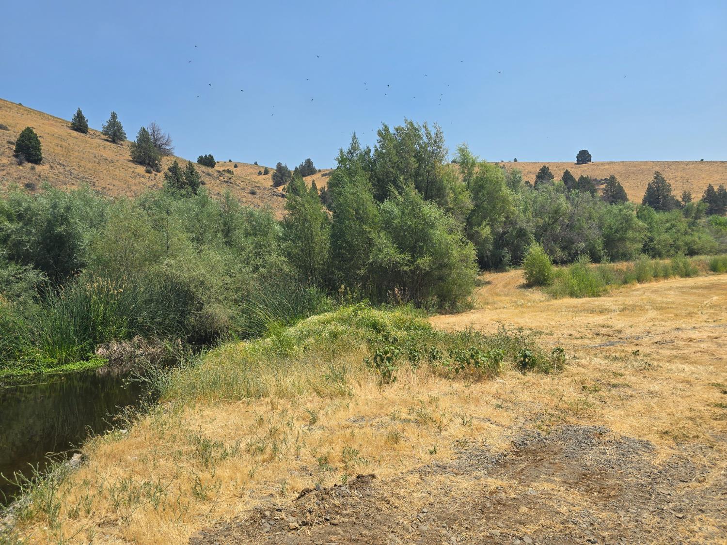 4204 Highway 263 Yreka, CA 96097 - Photo 59 of 66