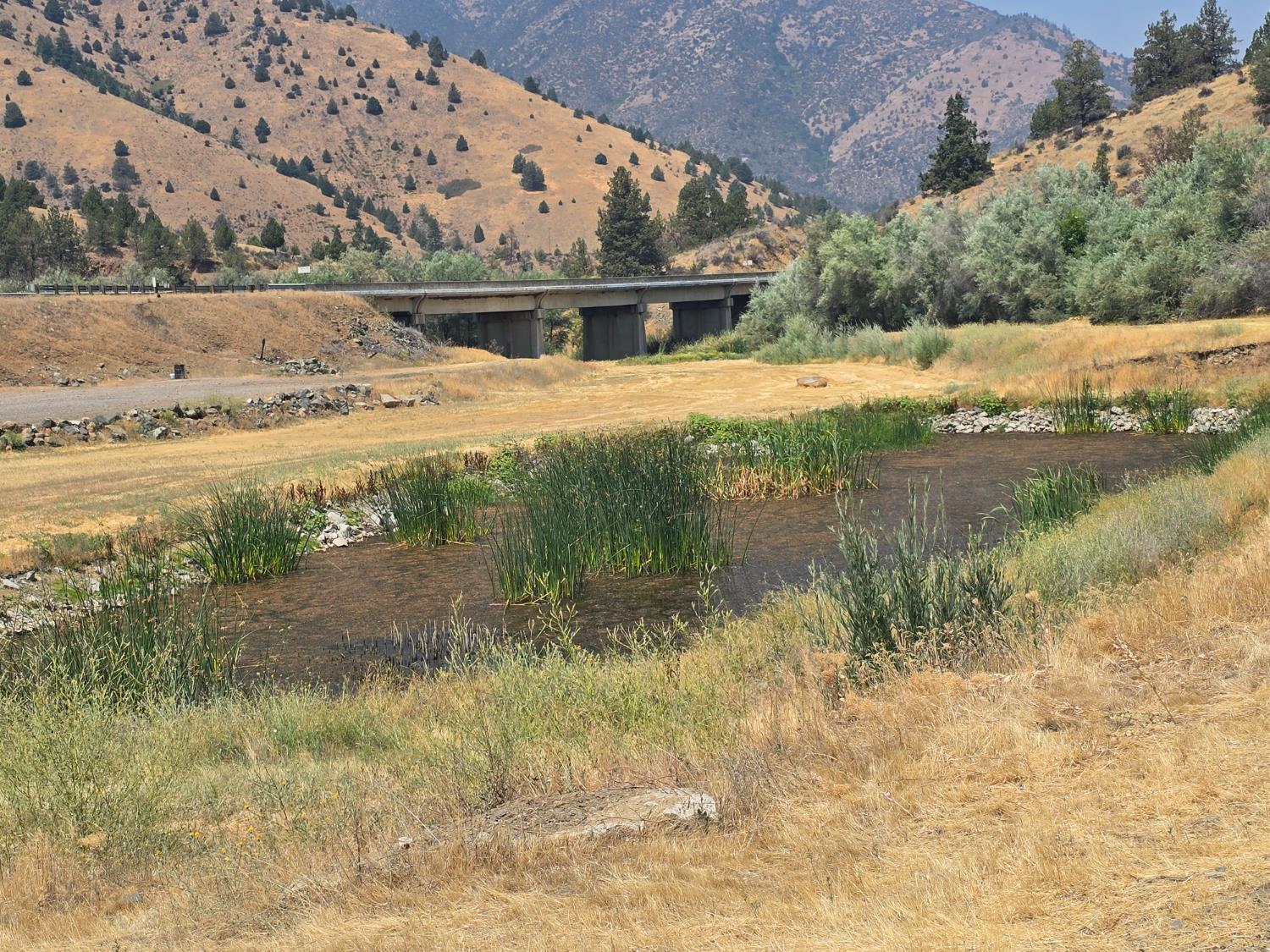 4204 Highway 263 Yreka, CA 96097 - Photo 60 of 66 a view of a lake with a mountain