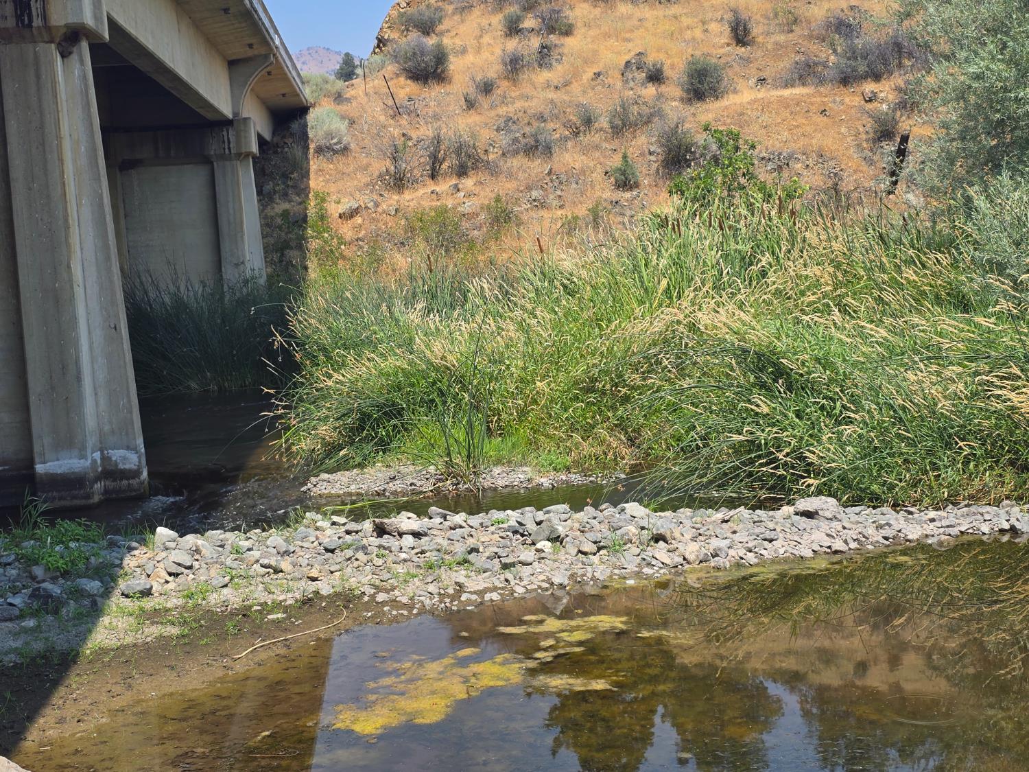 4204 Highway 263 Yreka, CA 96097 - Photo 61 of 66 a view of a backyard of the house