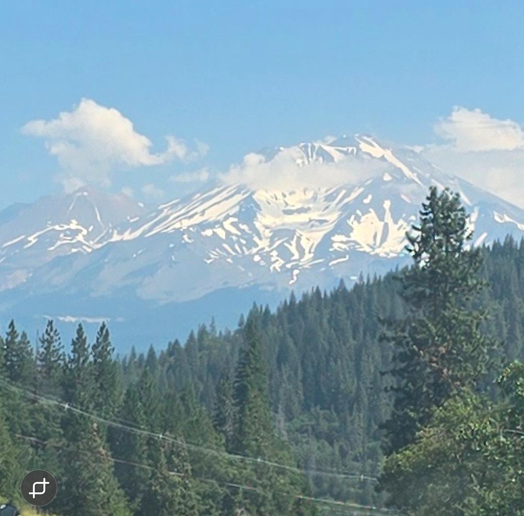 4204 Highway 263 Yreka, CA 96097 - Photo 63 of 66 a view of a big yard of the house