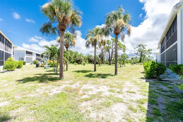 a view of a park with palm trees