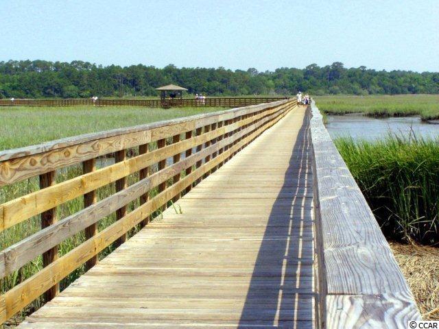 Lot 10 Cedar Point Avenue Murrells Inlet, SC 29576 - Photo 7 of 10