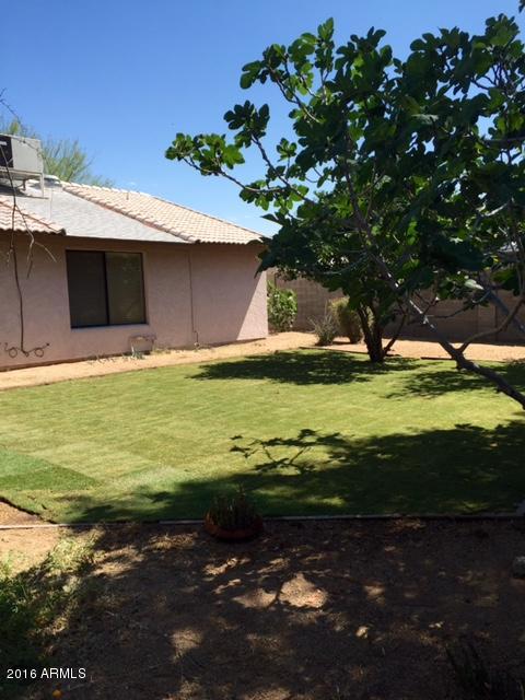 5515 West Hatcher Road Glendale, AZ 85302 - Photo 19 of 22 FullSizeRender_1