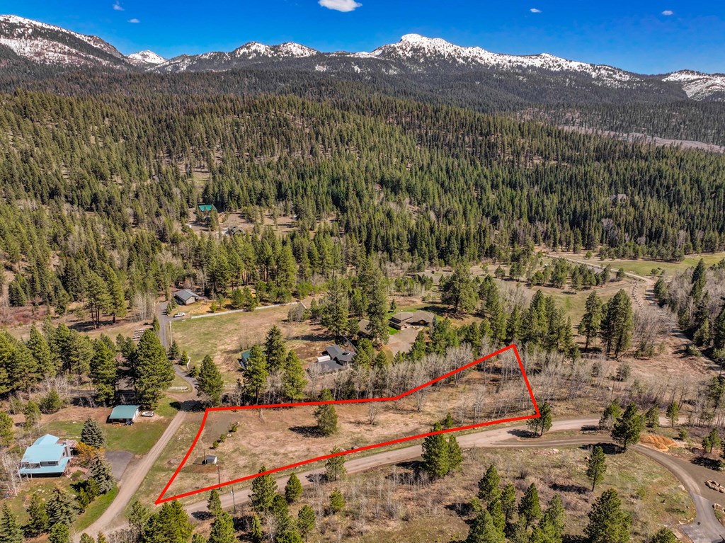 Tbd Morell Road McCall, ID 83638 - Photo 19 of 22