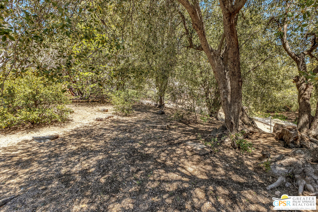 52732 Pine Cove Road Idyllwild, CA 92549 - Photo 44 of 67