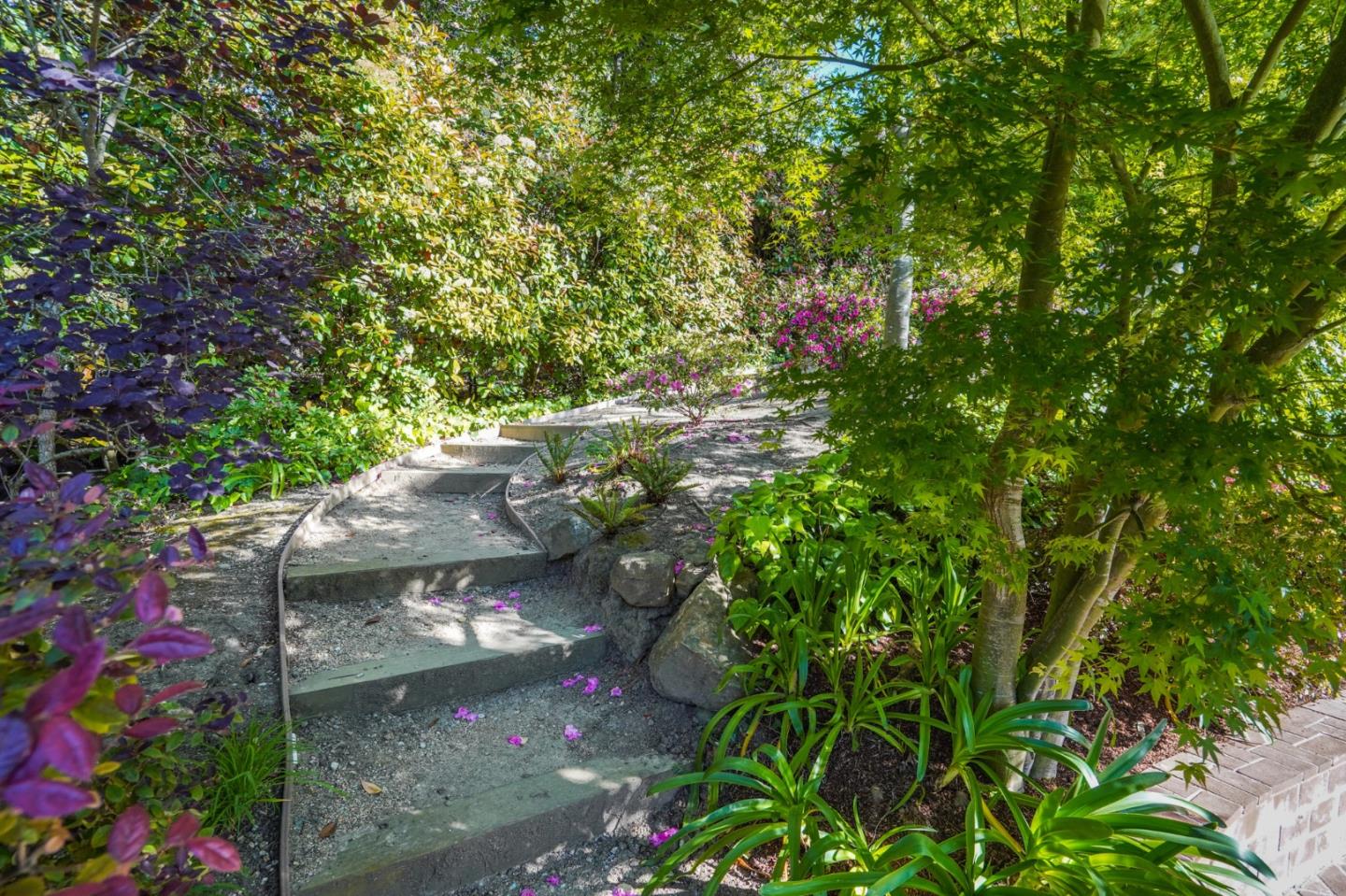 445 Walsh Road Atherton, CA 94027 - Photo 31 of 37 a backyard of a house with lots of green space