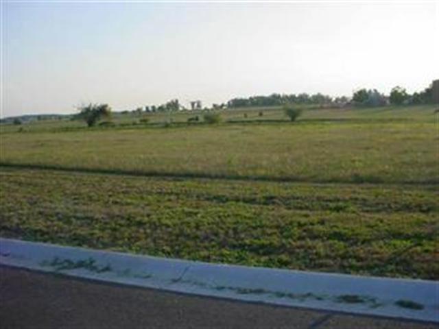 Lot 3 Private Road, Unit 1116 Monett, MO 65708 - Photo 1 of 1 Primary Photo