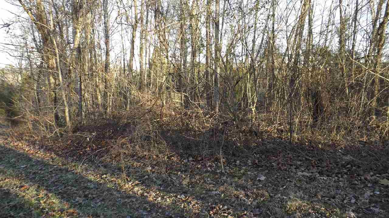 400 Tennessee Street Spring City, TN 37381 - Photo 3 of 9 Gallery Image 3