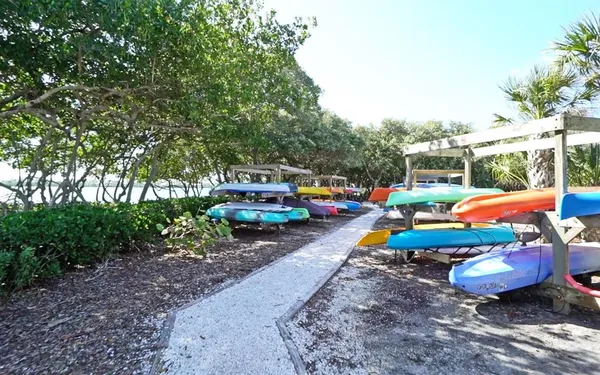 a view of a yard with plants and large trees