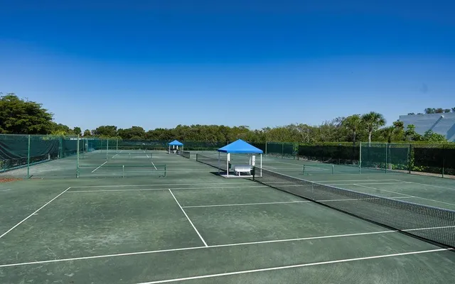 a view of a pathway both side of yard