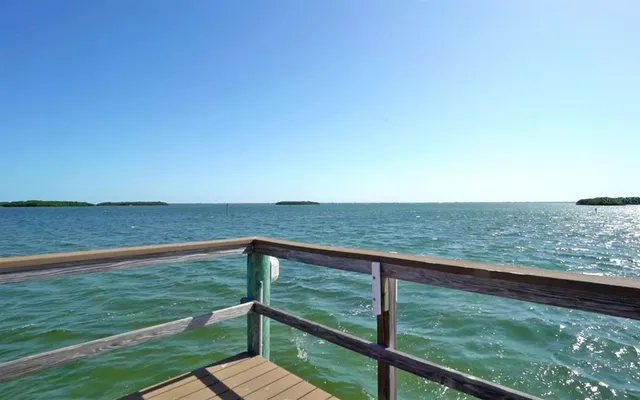 a view of a garden with a flower garden