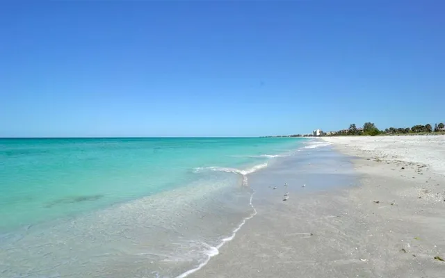 a view of an ocean beach