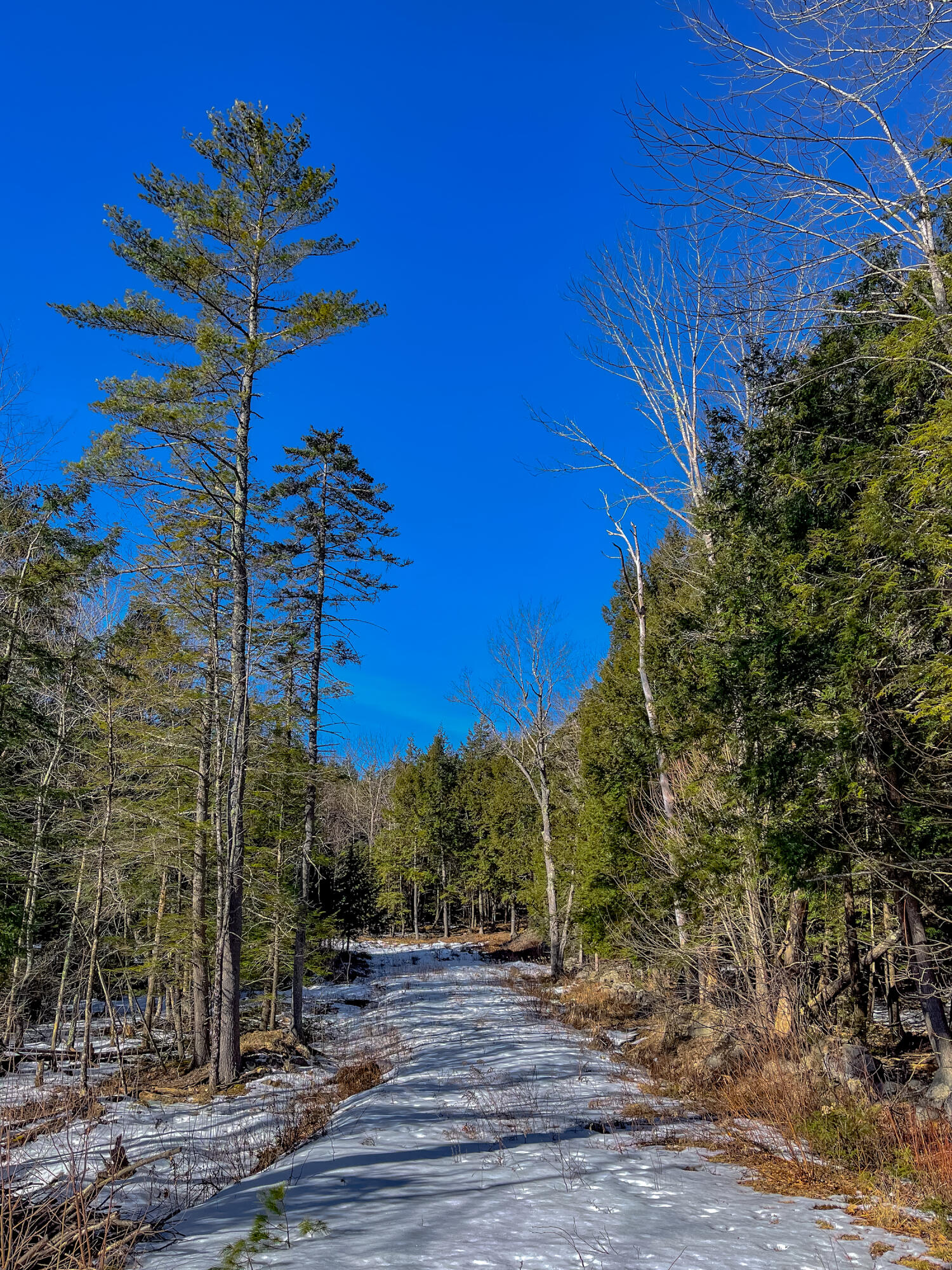 Lot #2 Augusta Road Bowdoin, ME 04287 - Photo 13 of 24 Lot #2B Augusta Road Bowdoin 013