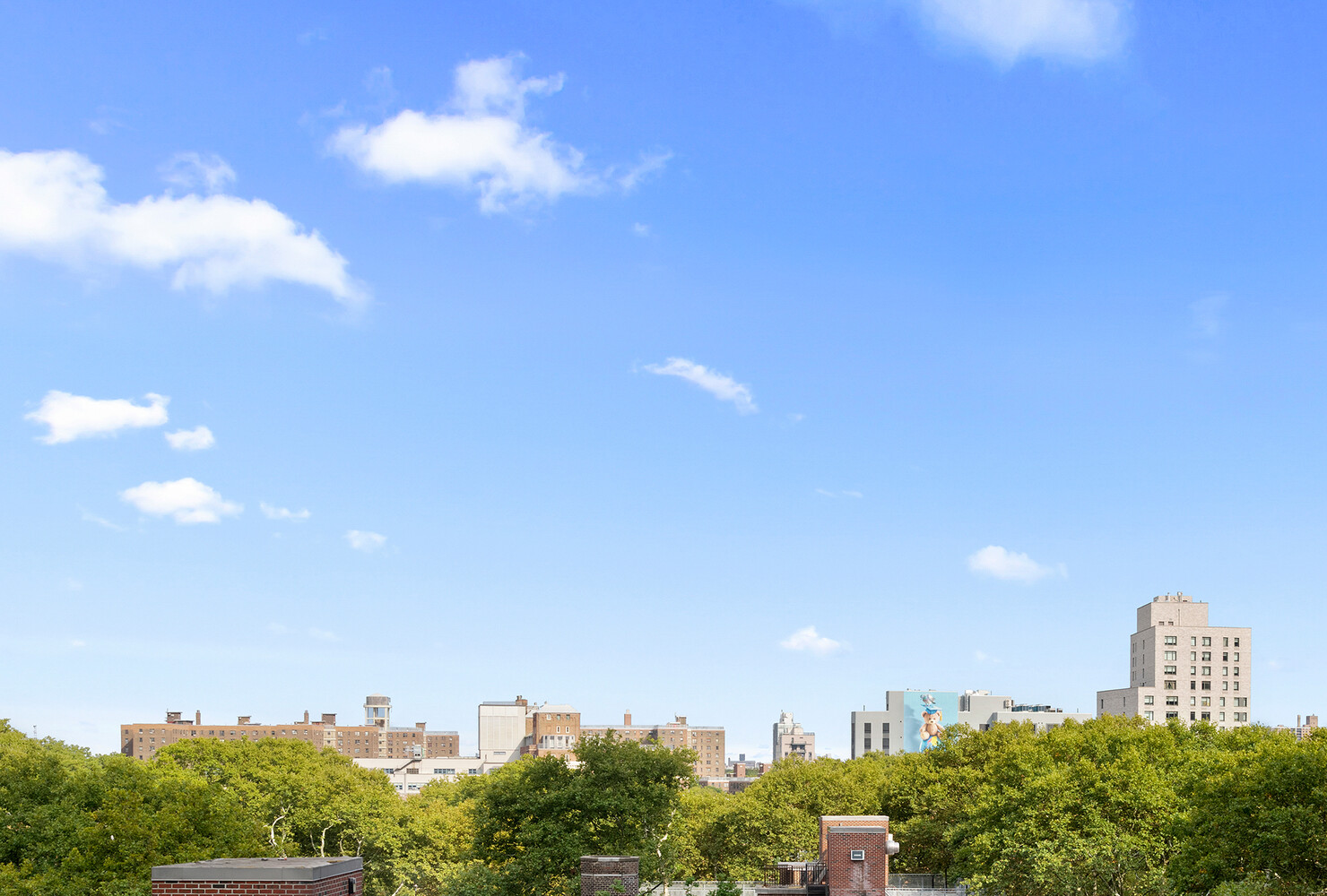 176 Johnson Street, Unit 7C Brooklyn, NY 11201 - Photo 4 of 15 a view of a city