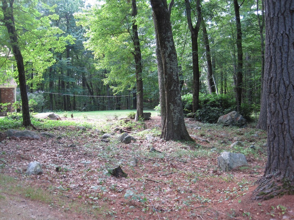 20 Beaman Road Princeton, MA 01541 - Photo 6 of 22