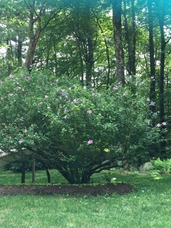 20 Beaman Road Princeton, MA 01541 - Photo 8 of 22