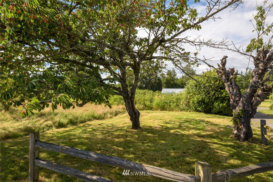 2584 Aldergrove Road Ferndale, WA 98248 - Photo 19 of 24 Gallery Image 19