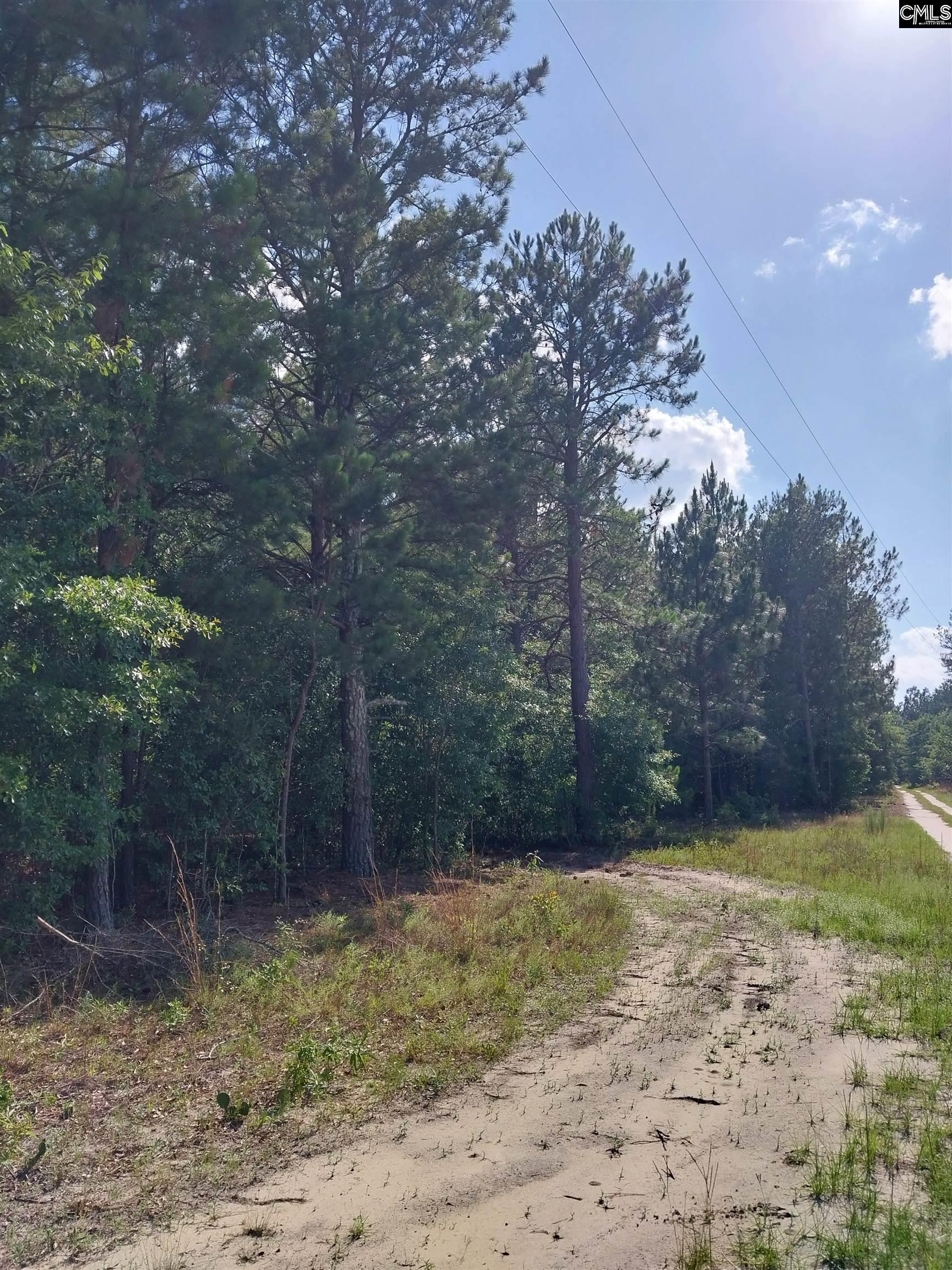 408 Sells Court Pelion, SC 29123 - Photo 3 of 6