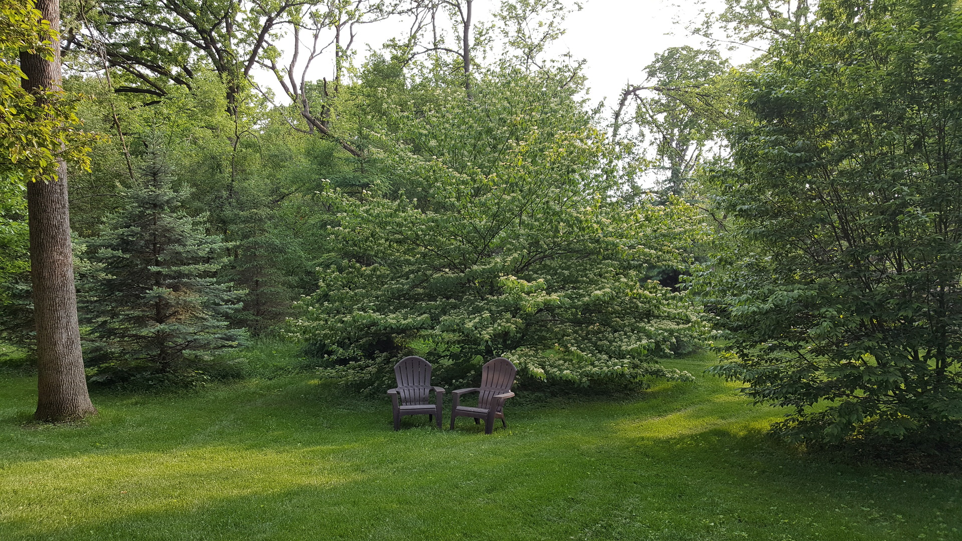 1S640 Winfield Road Wheaton, IL 60189 - Photo 47 of 57