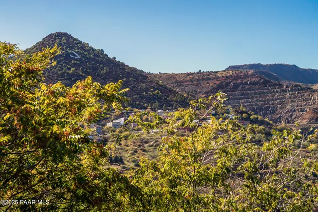 a view of a large tree