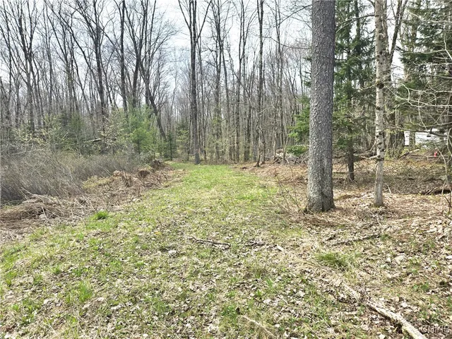 $21,000 | 4023 County Rte 17, Redfield, NY 13302