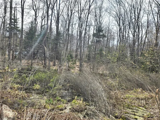 $21,000 | 4023 County Rte 17, Redfield, NY 13302