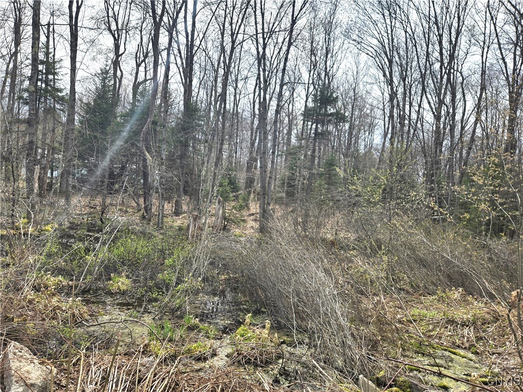 4023 County Rte 17 Redfield, NY 13302 - Photo 2 of 9