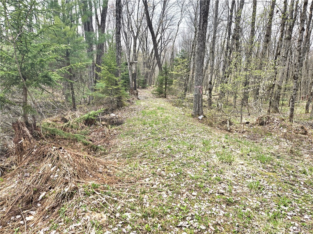 4023 County Rte 17 Redfield, NY 13302 - Photo 3 of 9