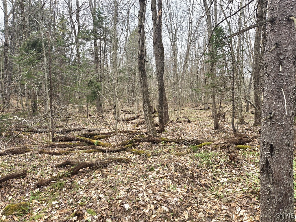 4023 County Rte 17 Redfield, NY 13302 - Photo 4 of 9