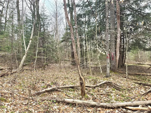 $21,000 | 4023 County Rte 17, Redfield, NY 13302