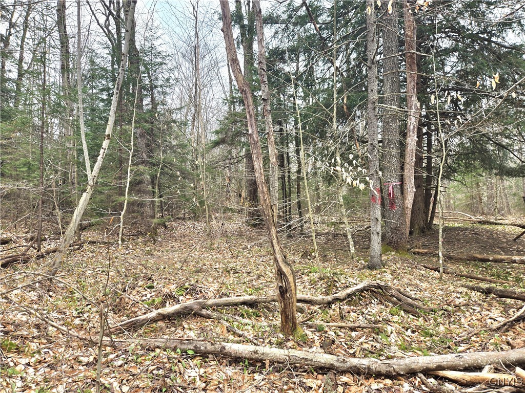 4023 County Rte 17 Redfield, NY 13302 - Photo 5 of 9