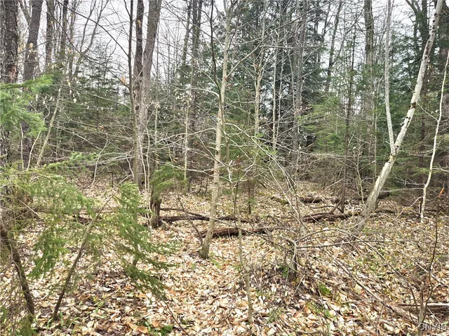 $21,000 | 4023 County Rte 17, Redfield, NY 13302