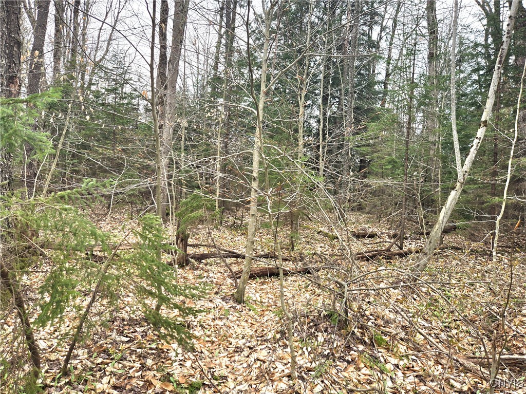 4023 County Rte 17 Redfield, NY 13302 - Photo 6 of 9