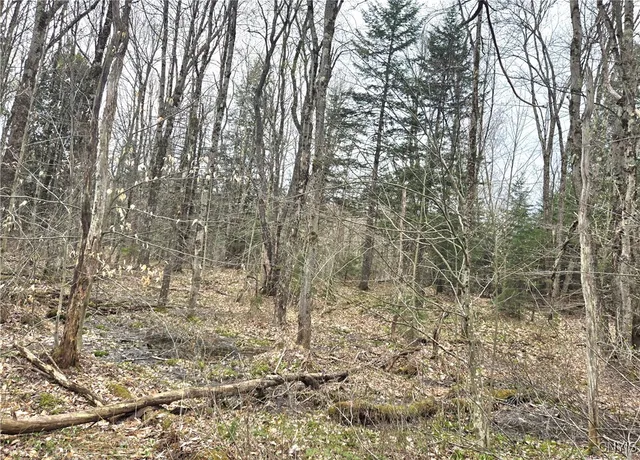 $21,000 | 4023 County Rte 17, Redfield, NY 13302