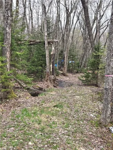 $21,000 | 4023 County Rte 17, Redfield, NY 13302