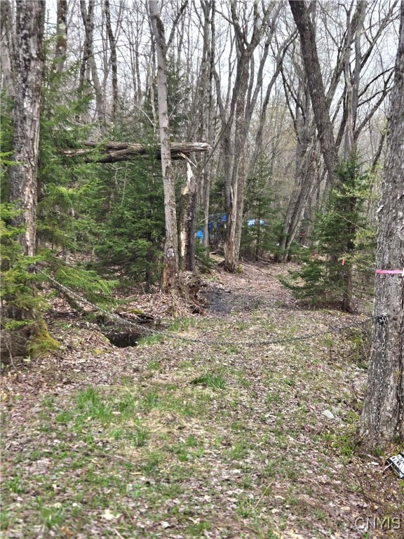 4023 County Rte 17 Redfield, NY 13302 - Photo 8 of 9