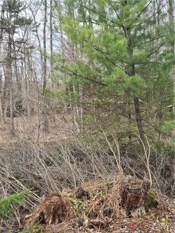 $21,000 | 4023 County Rte 17, Redfield, NY 13302