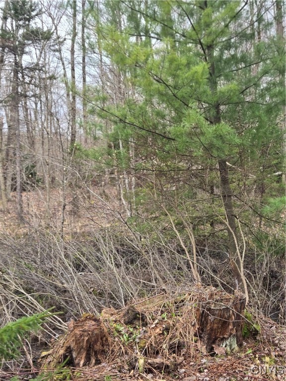 4023 County Rte 17 Redfield, NY 13302 - Photo 9 of 9