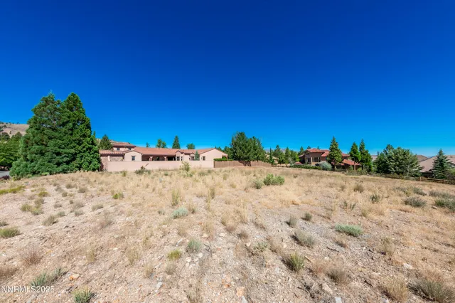 a view of a dry yard with trees