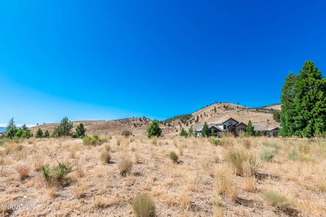 a view of a dry yard with trees