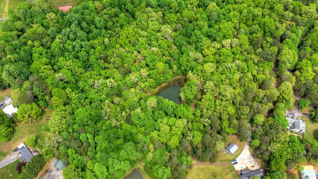 8.52 Ac Mcnelley Road Morganton, GA 30560 - Photo 7 of 47