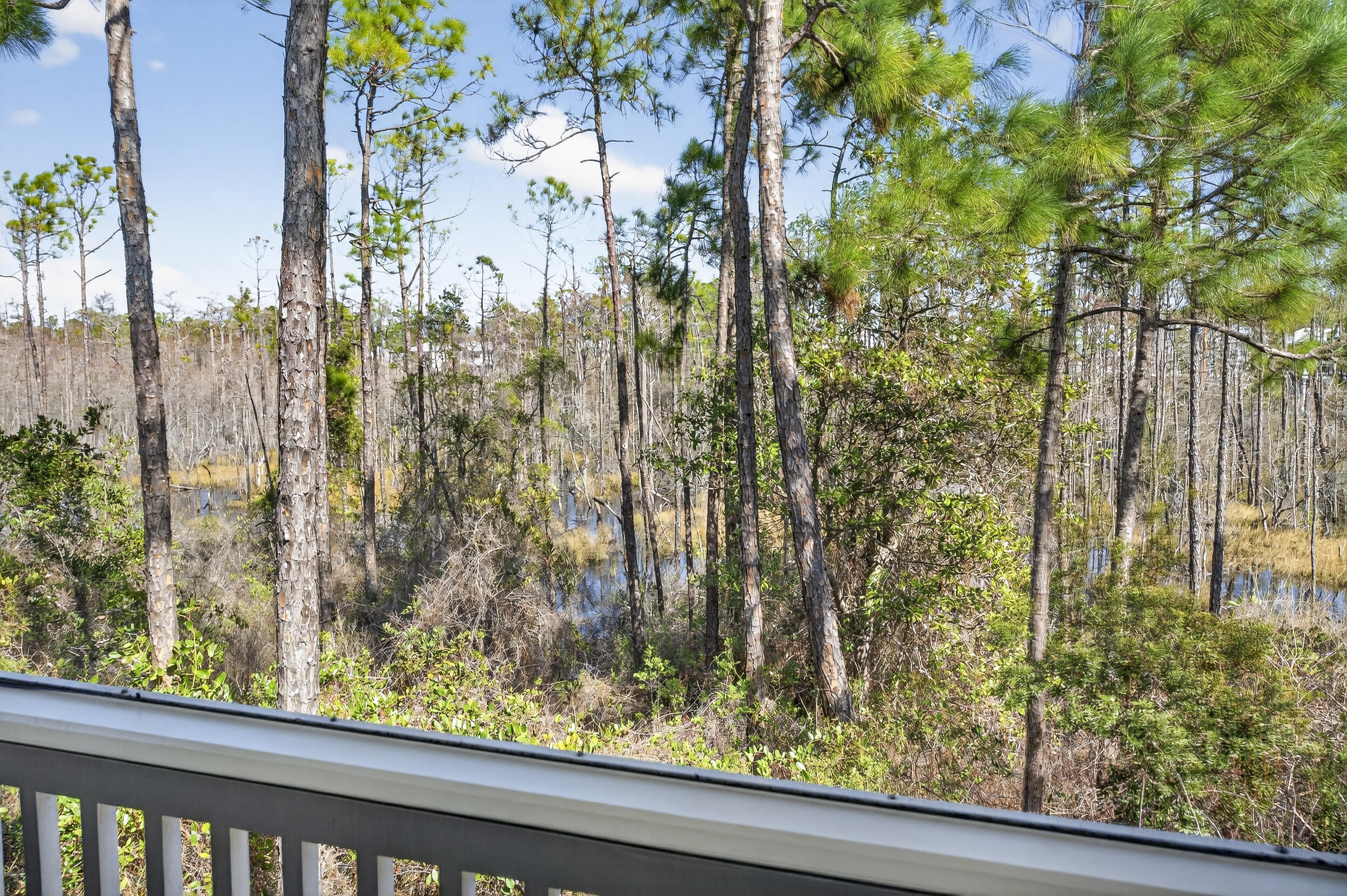 613 Flatwoods Forest Loop Santa Rosa Beach, FL 32459 - Photo 28 of 56 DSC01391