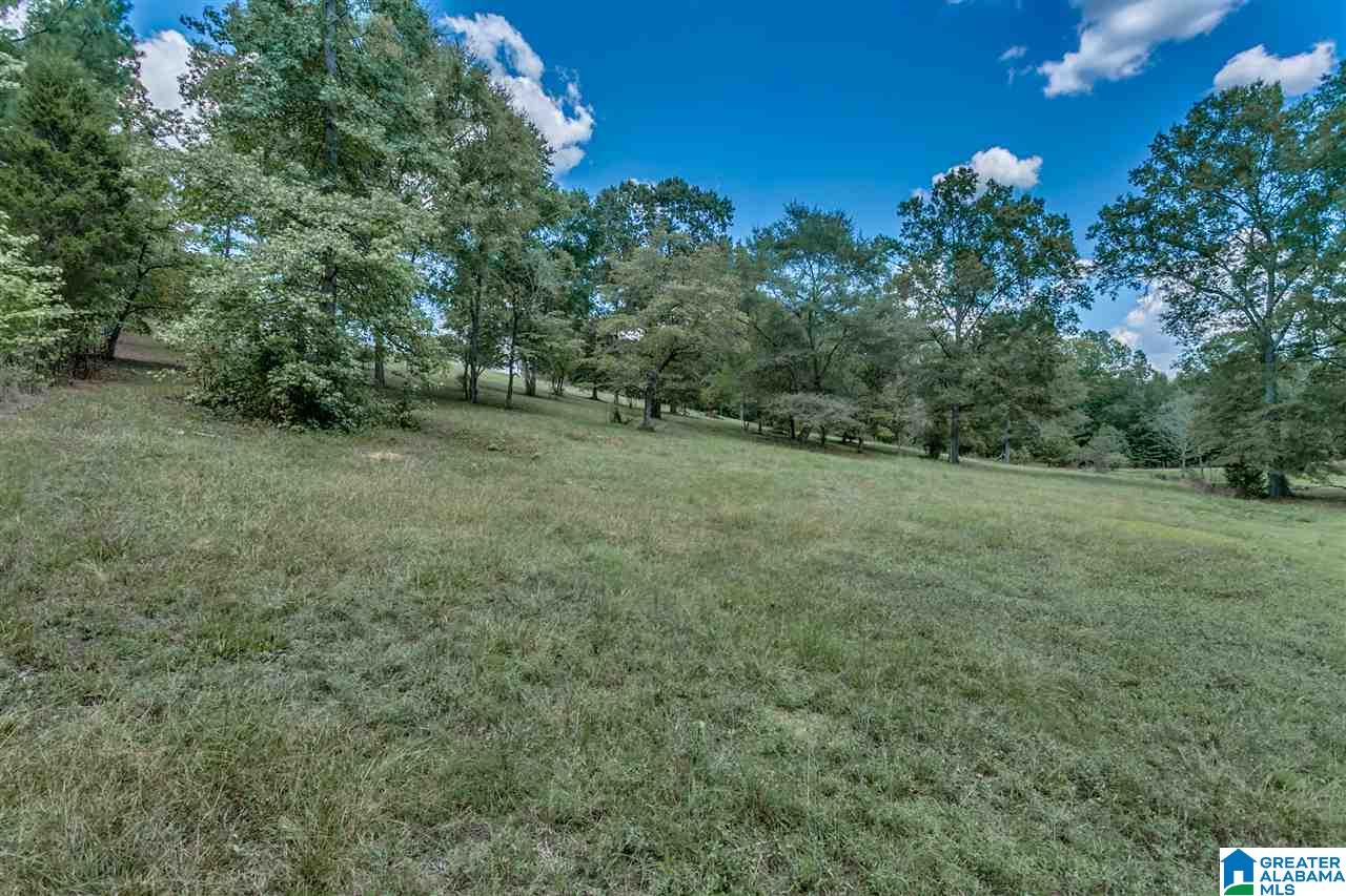 184 Jenkins Farm Road Helena, AL 35080 - Photo 12 of 25